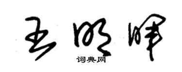 朱錫榮王明暉草書個性簽名怎么寫