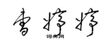 梁錦英曹婷婷草書個性簽名怎么寫