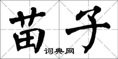 翁闓運苗子楷書怎么寫