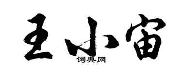 胡問遂王小宙行書個性簽名怎么寫