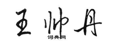 駱恆光王帥丹行書個性簽名怎么寫