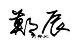 朱錫榮鄭辰草書個性簽名怎么寫