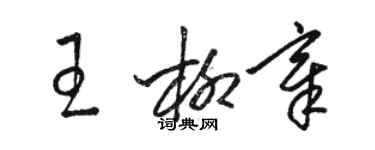 駱恆光王柳章草書個性簽名怎么寫