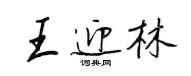 王正良王迎林行書個性簽名怎么寫