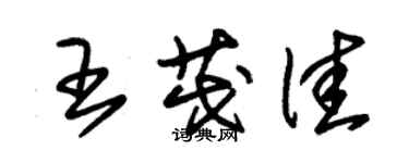 朱錫榮王茂佳草書個性簽名怎么寫
