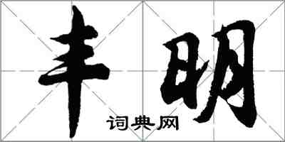 胡問遂豐明行書怎么寫