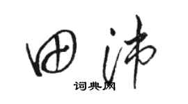 駱恆光田沛草書個性簽名怎么寫