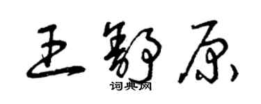 曾慶福王舒原草書個性簽名怎么寫