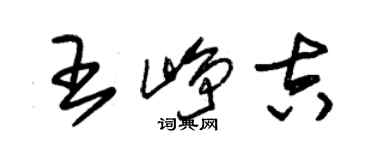 朱錫榮王崢吉草書個性簽名怎么寫