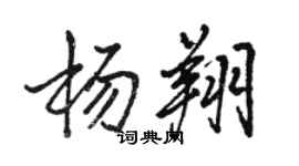 駱恆光楊翔行書個性簽名怎么寫