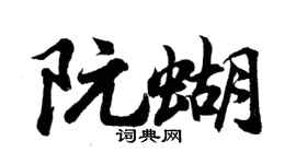 胡問遂阮蝴行書個性簽名怎么寫