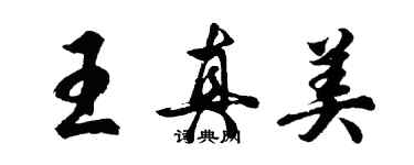 胡問遂王真美行書個性簽名怎么寫