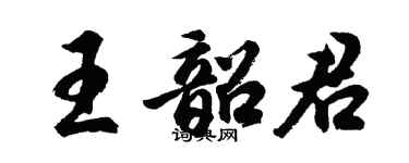 胡問遂王韶君行書個性簽名怎么寫
