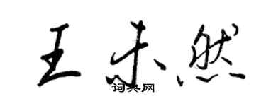王正良王未然行書個性簽名怎么寫