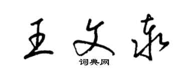 梁錦英王文泰草書個性簽名怎么寫