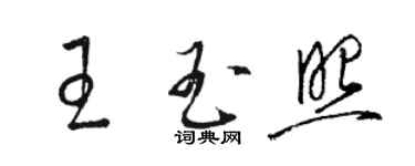 駱恆光王玉照草書個性簽名怎么寫