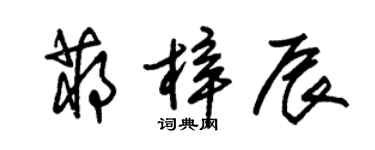 朱錫榮蔣梓辰草書個性簽名怎么寫