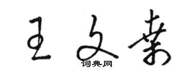 駱恆光王文桑草書個性簽名怎么寫