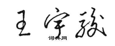 駱恆光王宇駿草書個性簽名怎么寫