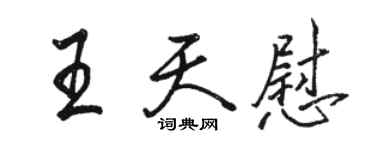 駱恆光王天慰行書個性簽名怎么寫
