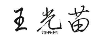 駱恆光王光苗行書個性簽名怎么寫