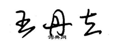 朱錫榮王丹立草書個性簽名怎么寫