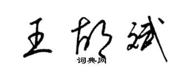 梁錦英王胡斌草書個性簽名怎么寫