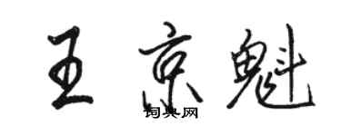 駱恆光王京魁行書個性簽名怎么寫