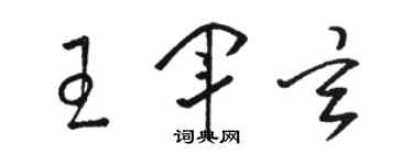 駱恆光王軍玄草書個性簽名怎么寫