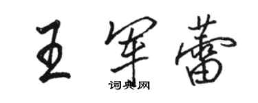 駱恆光王軍蕾行書個性簽名怎么寫