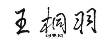 駱恆光王桐羽行書個性簽名怎么寫