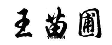 胡問遂王苗圃行書個性簽名怎么寫