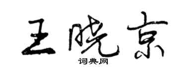 曾慶福王曉京行書個性簽名怎么寫