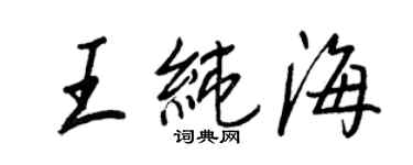 王正良王純海行書個性簽名怎么寫