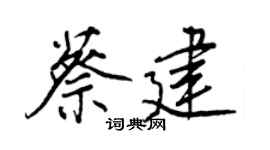 王正良蔡建行書個性簽名怎么寫