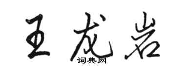 駱恆光王龍巖行書個性簽名怎么寫