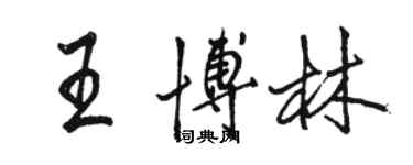 駱恆光王博林行書個性簽名怎么寫