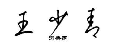 梁錦英王少青草書個性簽名怎么寫