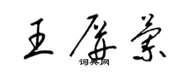 梁錦英王屏蘭草書個性簽名怎么寫