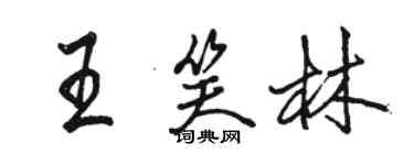 駱恆光王笑林行書個性簽名怎么寫