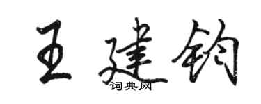 駱恆光王建鈞行書個性簽名怎么寫
