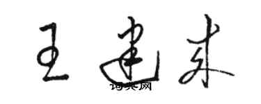 駱恆光王建來草書個性簽名怎么寫