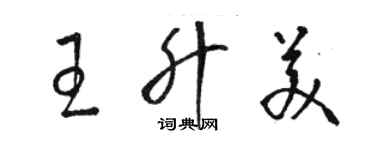 駱恆光王升美草書個性簽名怎么寫