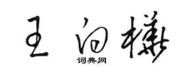 駱恆光王白樺草書個性簽名怎么寫