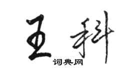 駱恆光王科行書個性簽名怎么寫