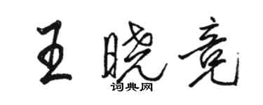 駱恆光王曉競行書個性簽名怎么寫