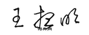 駱恆光王想明草書個性簽名怎么寫