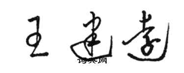 駱恆光王建遠草書個性簽名怎么寫