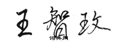 駱恆光王智玫行書個性簽名怎么寫