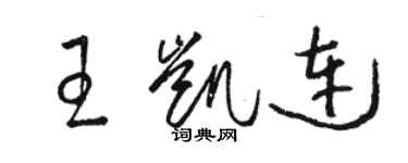 駱恆光王凱連草書個性簽名怎么寫